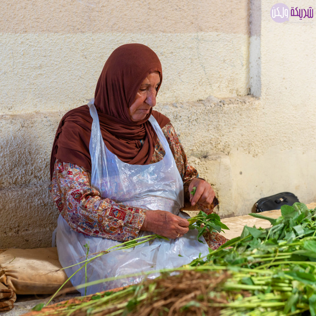 جمعية جود الارض