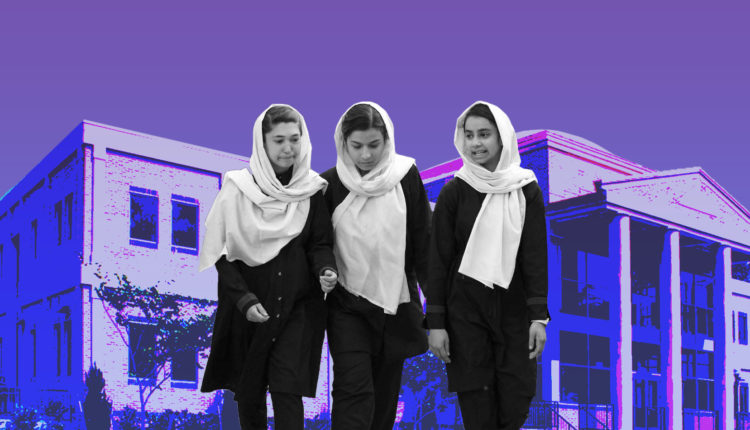 حتى إشعار آخر .. "طالبان" تحظر التعليم الجامعي للفتيات