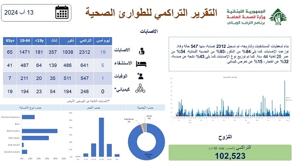 التقرير التراكمي لحصيلة العدوان الإسرائيلي على لبنان