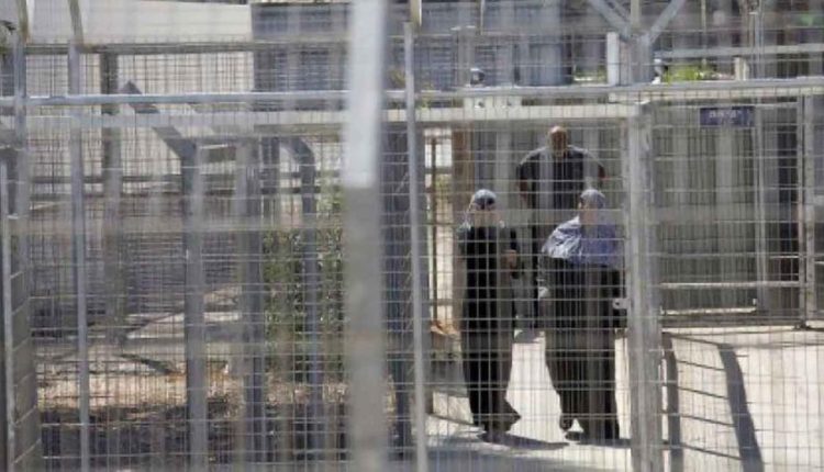 49 أسيرة فلسطينية يواجهن جرائم ممنهجة داخل سجون الاحتلال
