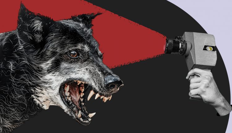 انتهاكات انسانية، واغتصاب وتعذيب جنسي داخل سجون الاحتلال الإسرائيلي