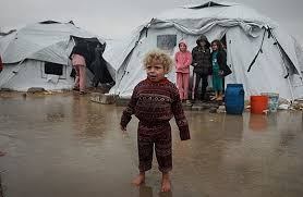 البرد القارس يقتل 17 فلسطينيًا/ة بينهم/ن 4 أطفال/ن في غزة