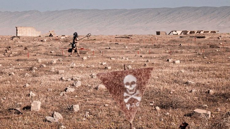 الطفلات/الأطفال يشكلون النسبة الأكبر من ضحايا الألغام