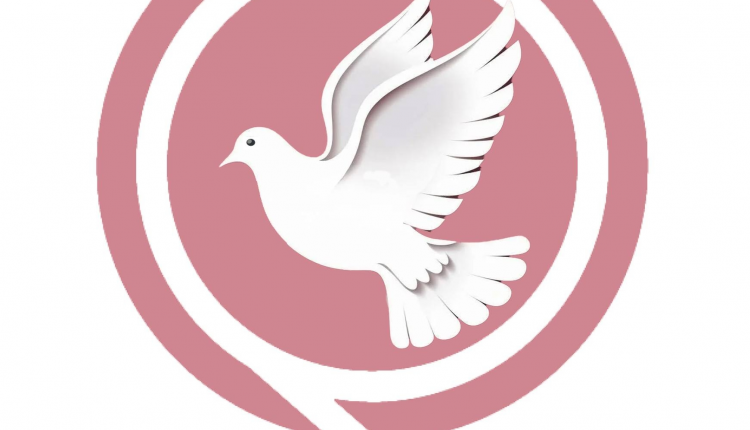 "ملاذ لدعم المرأة": 61 جريمة عنف ضد النساء والفتيات في مصر خلال الربع الأول لعام 2026